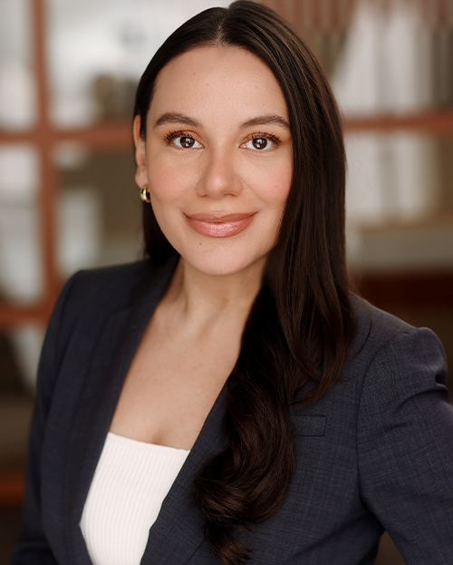 Vivian I. Rivera